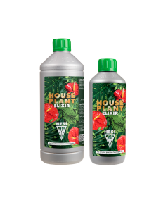 HousePlant Elixir Hesi